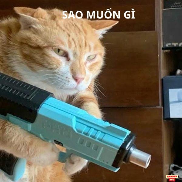 2meme cầm súng bắn
