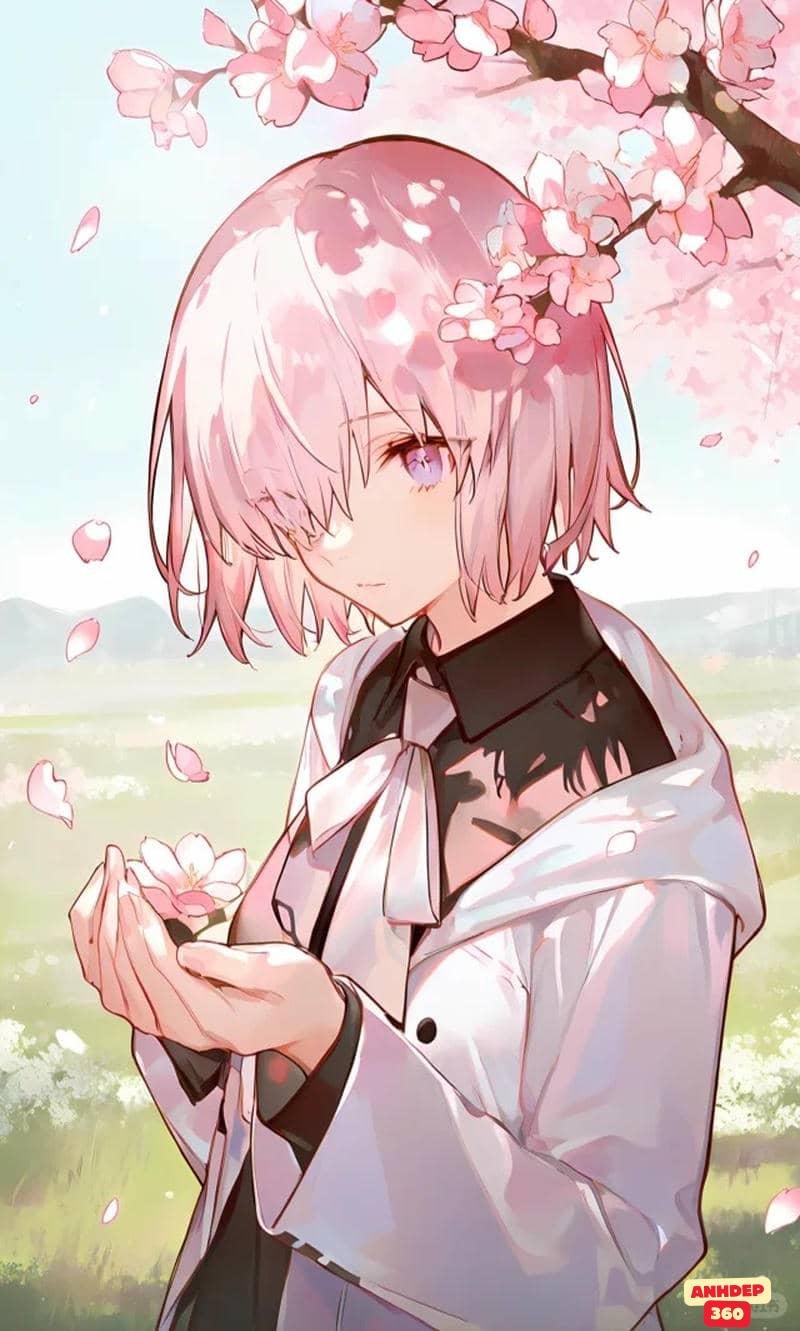 Album ảnh Mash Kyrielight mới