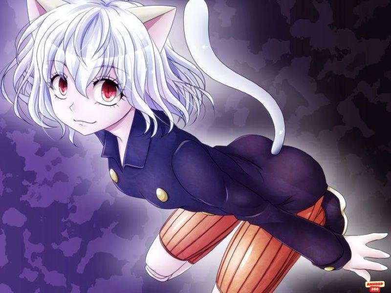 Album ảnh Neferpitou độc quyền