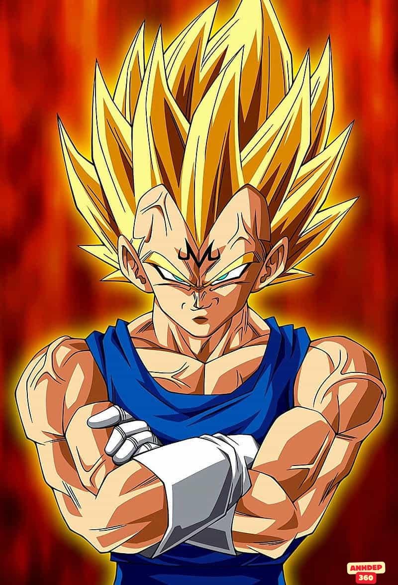 Album ảnh Vegeta độc quyền