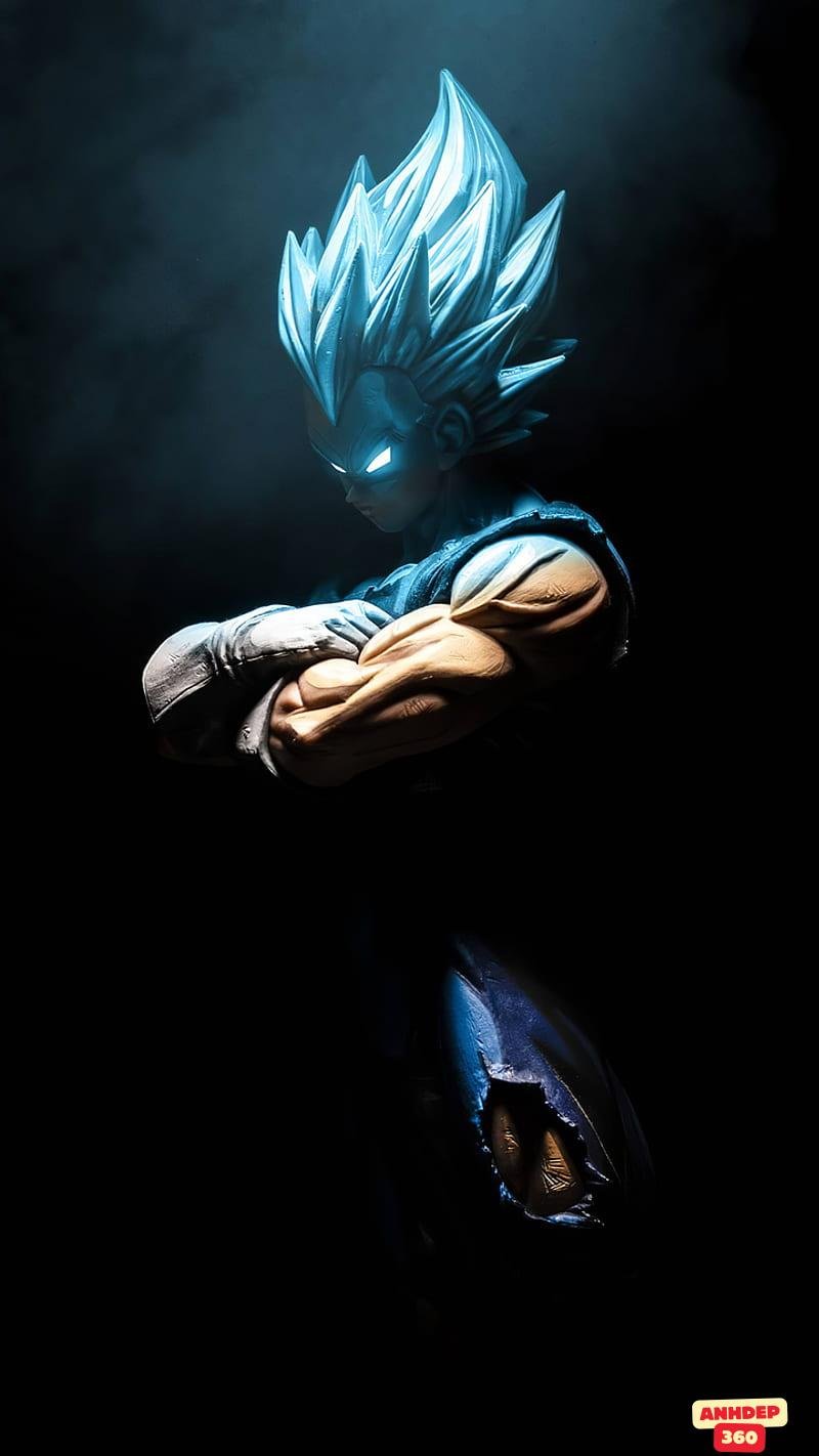 Album ảnh Vegeta mới