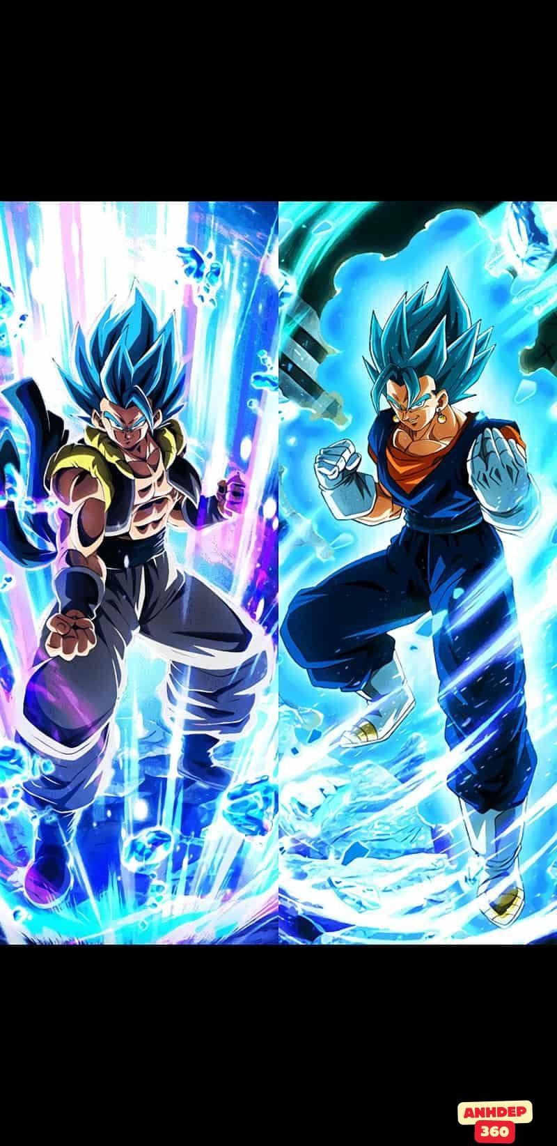 Album ảnh Vegito độc quyền