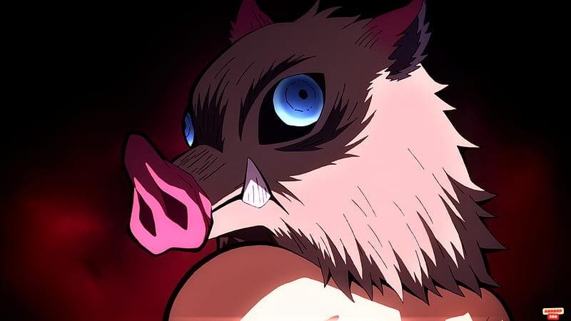 Album hình Inosuke Hashibira mới