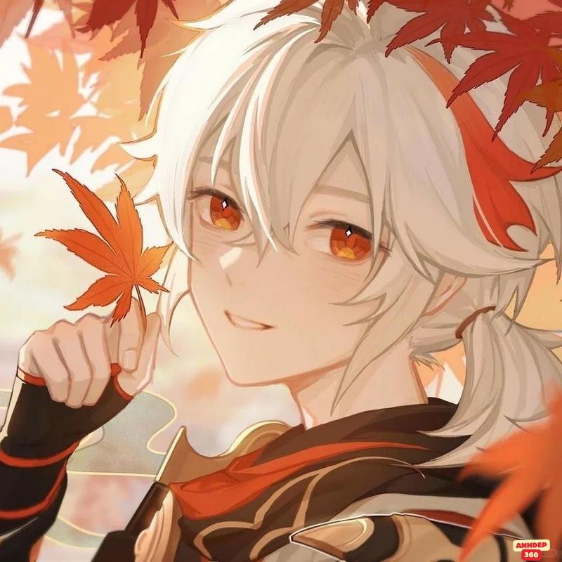 Album hình Kaedehara Kazuha mới