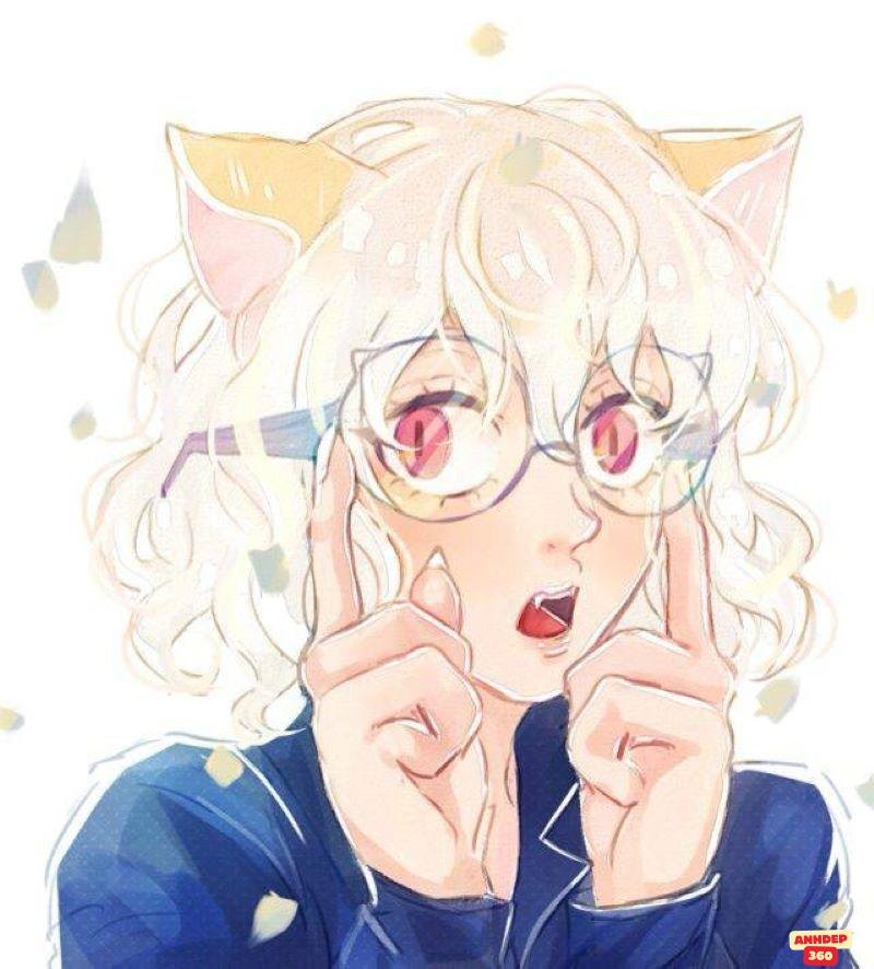 Album hình Neferpitou mới