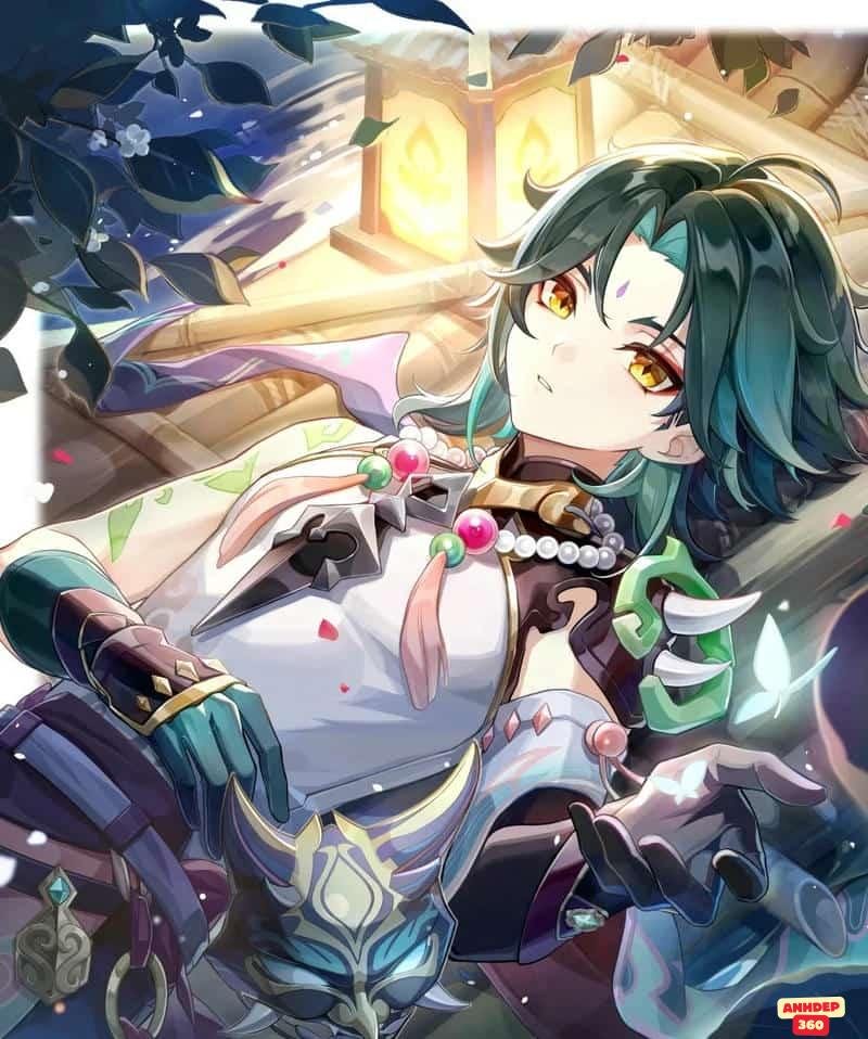 Bộ hình Xiao mới nhất