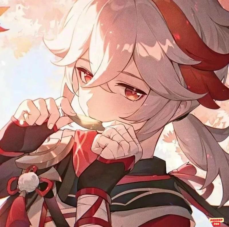 Bộ sưu tập hình Kaedehara Kazuha mới