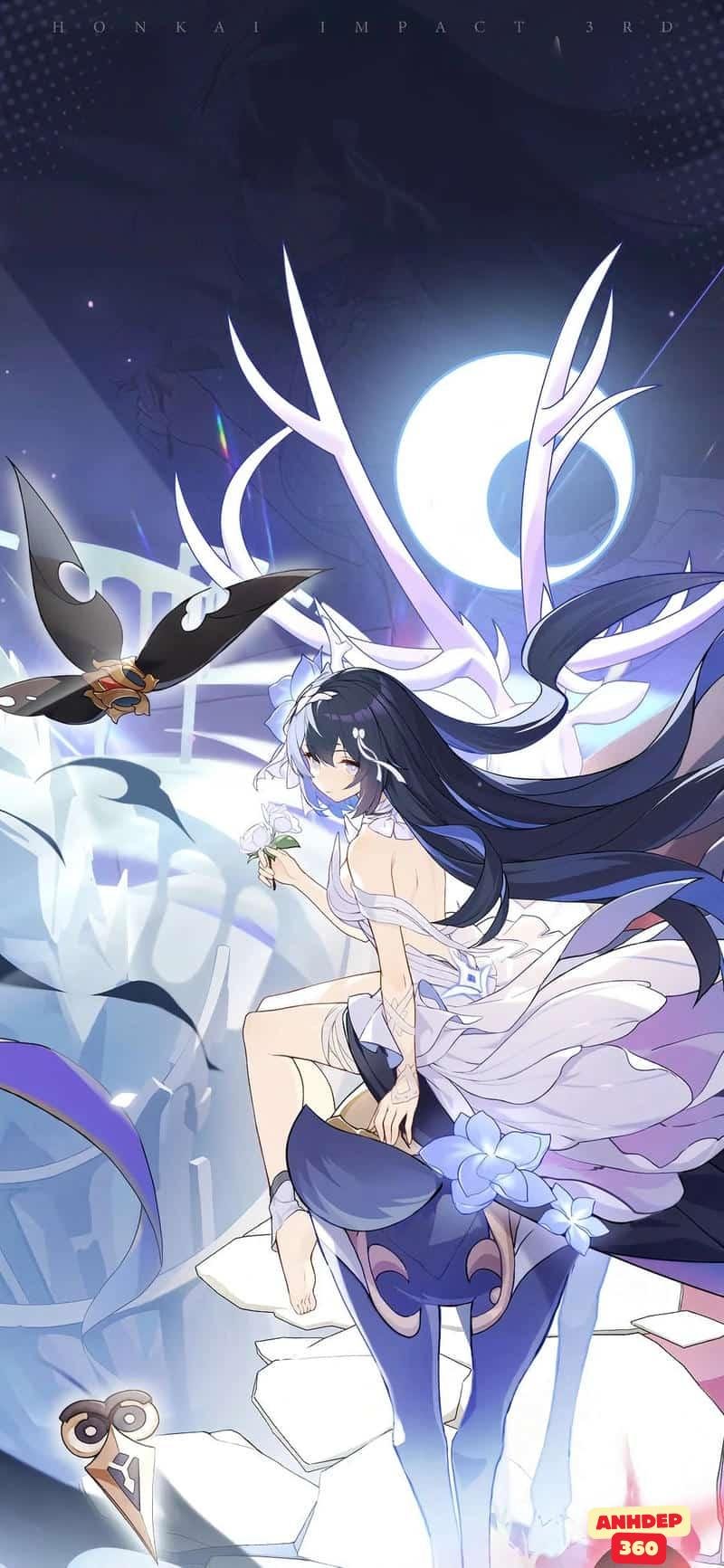 Bộ sưu tập hình Seele Vollerei mới