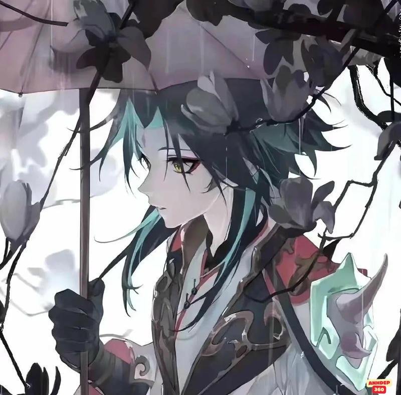 Bộ sưu tập hình Xiao mới