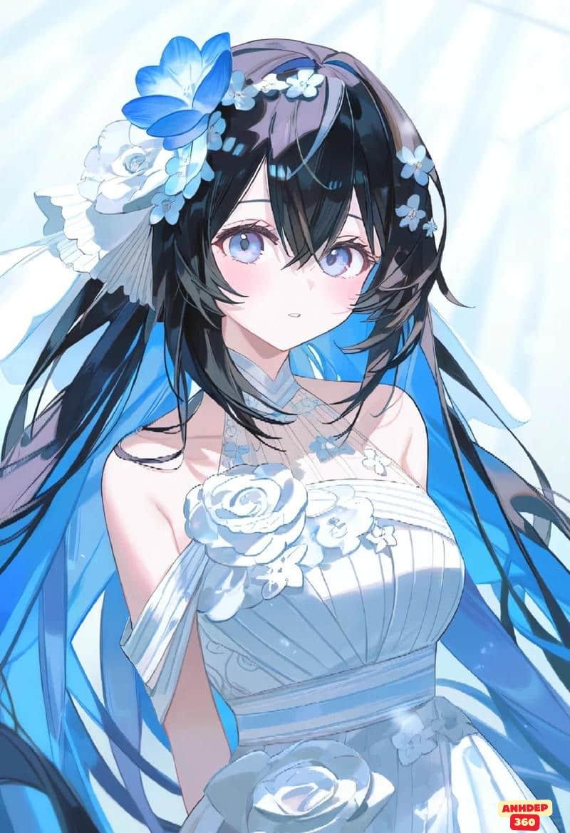 Khám phá bộ ảnh Seele Vollerei đẹp