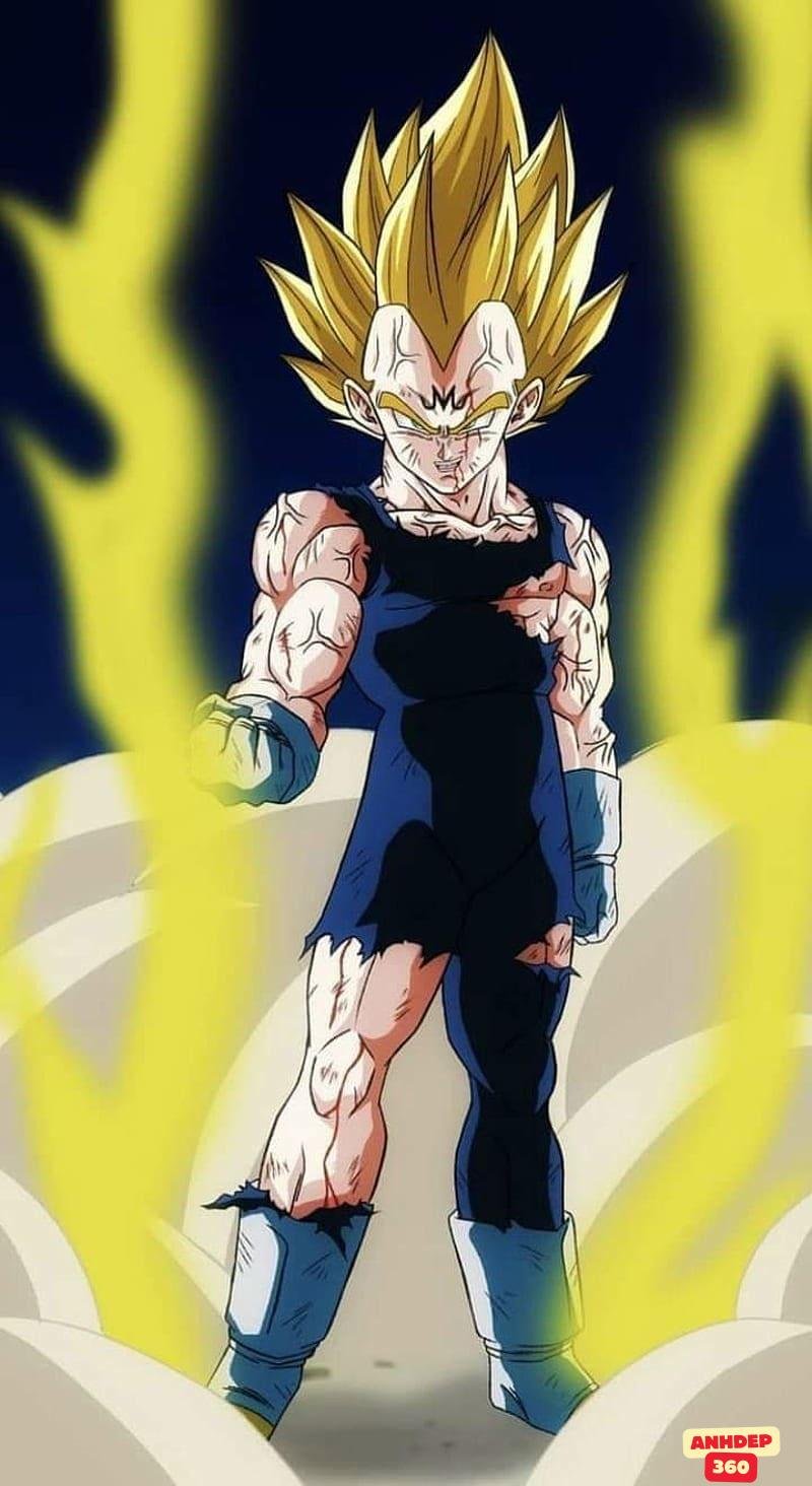 Loạt ảnh Vegeta chất lượng nhất
