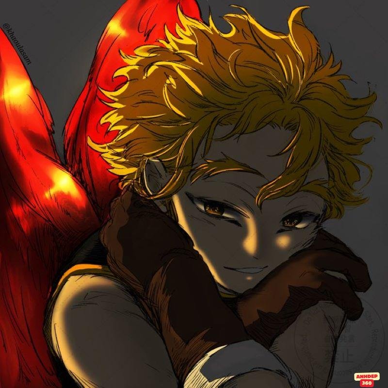 Loạt hình Hawks cuốn hút