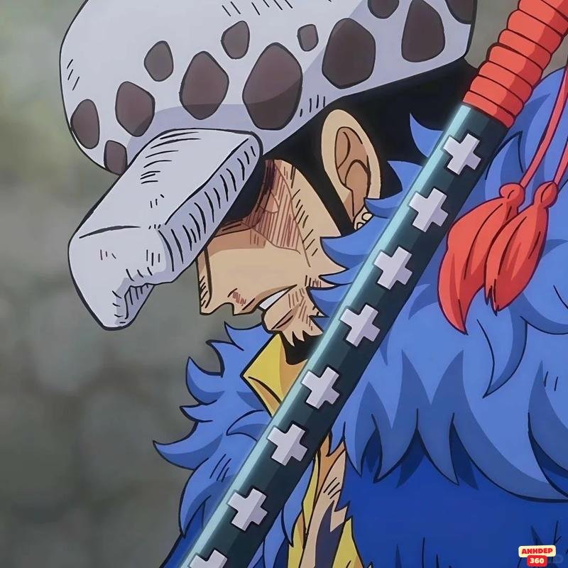 Loạt hình Trafalgar D. Water Law độc quyền