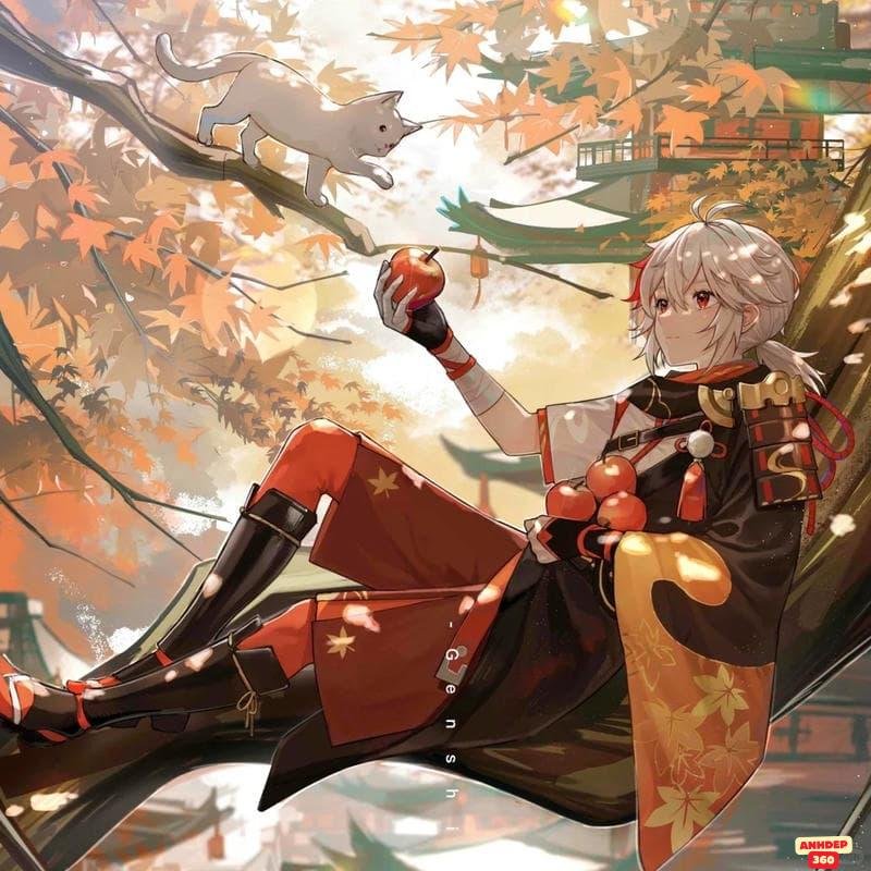 Ngắm hình Kaedehara Kazuha miễn phí