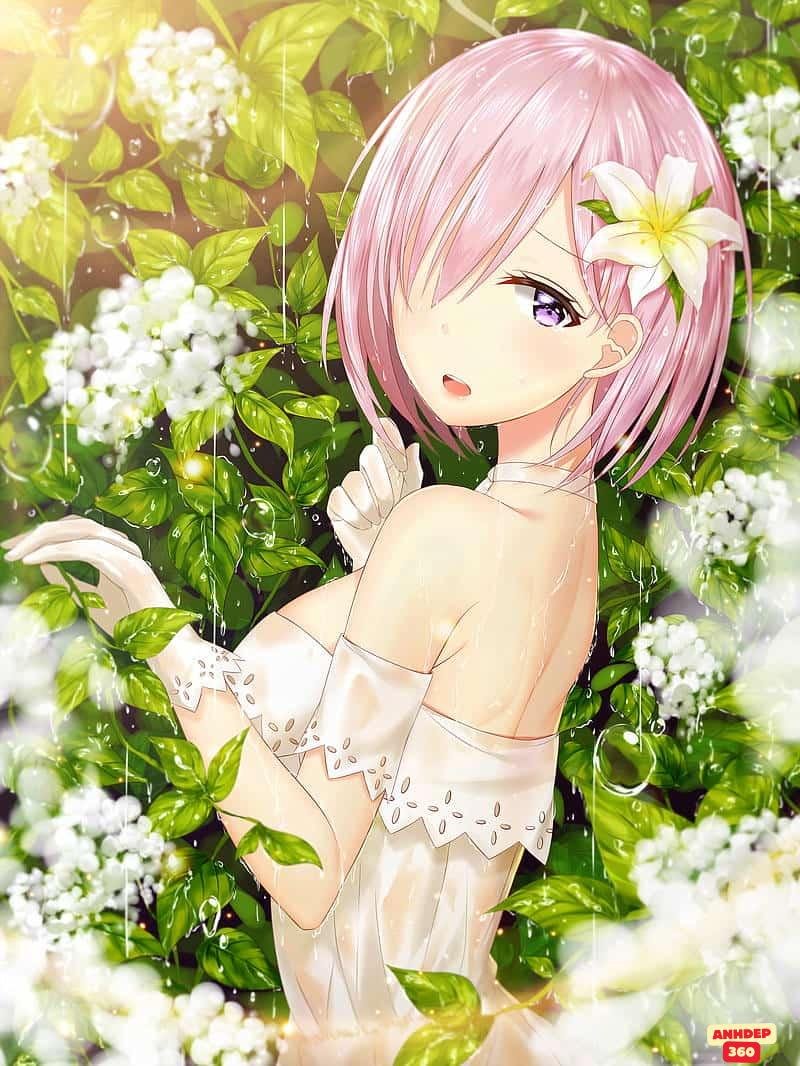 Ngắm hình Mash Kyrielight mới nhất