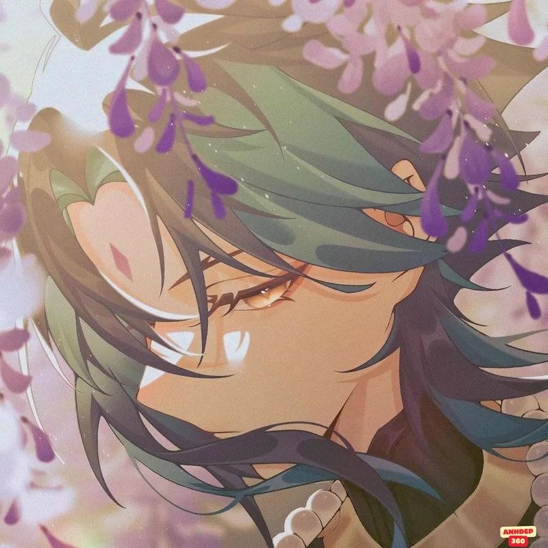 Ngắm hình Xiao thu hút