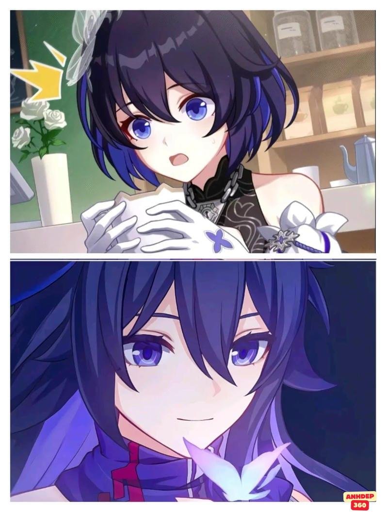 Tải ảnh Seele Vollerei mới