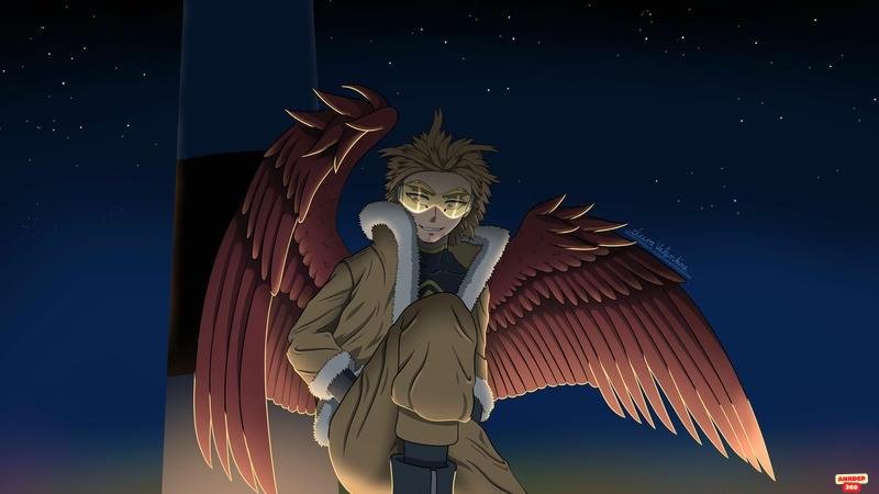 Tải hình Hawks chất lượng cao