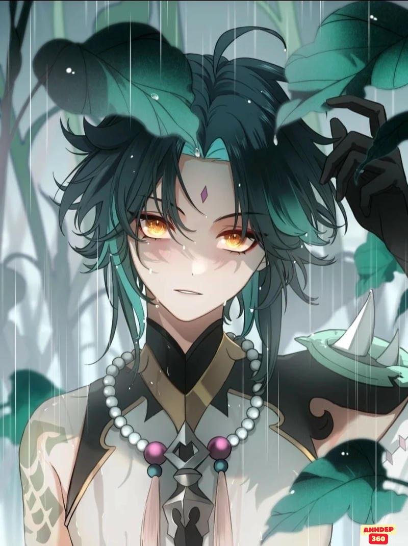 Tải hình Xiao chất lượng cao