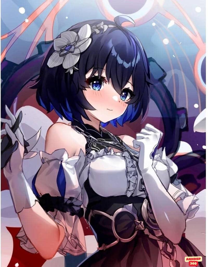 Tổng hợp hình Seele Vollerei chất lượng