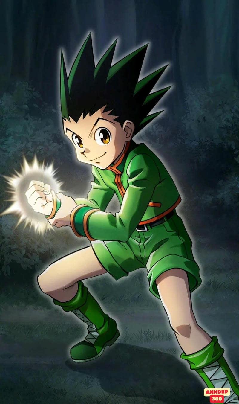 Tuyển chọn hình Gon Freecss thu hút