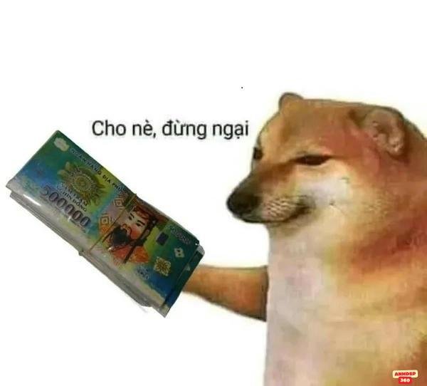 ảnh chế meme tiền độc lạ