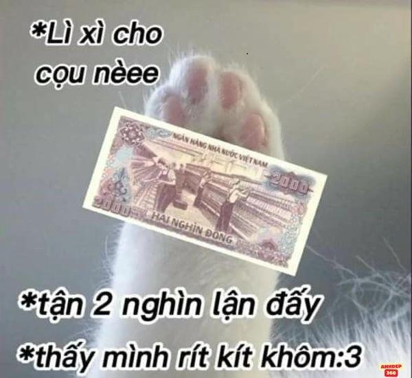 ảnh chế meme tiền hài hước