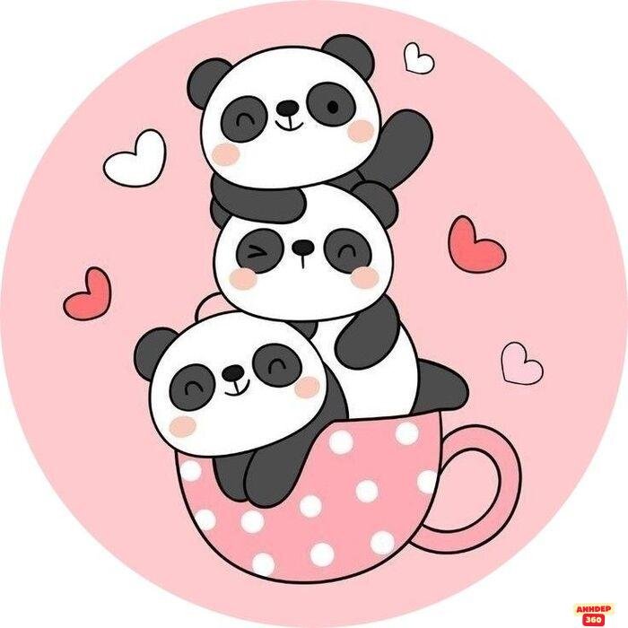 ảnh gấu trúc cute chibi bé xinh