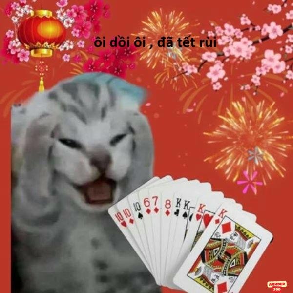 ảnh lì xì troll chia bài