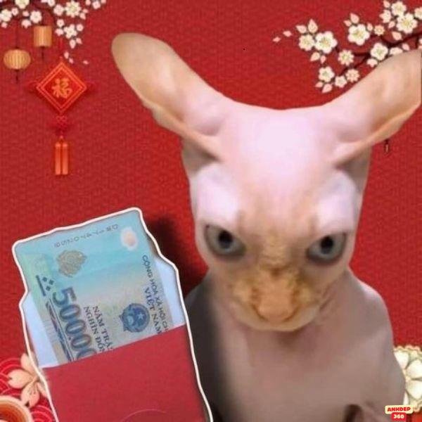 ảnh lì xì troll chó ghét