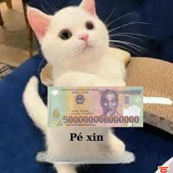 ảnh lì xì troll pé