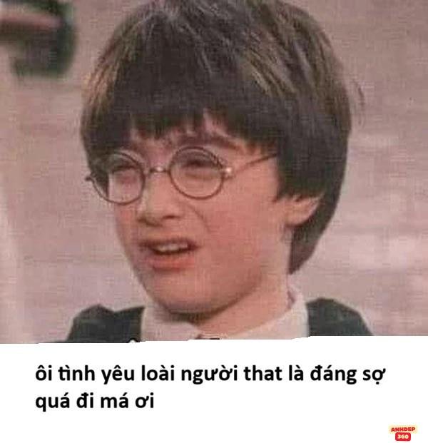 ảnh meme đáng yêu