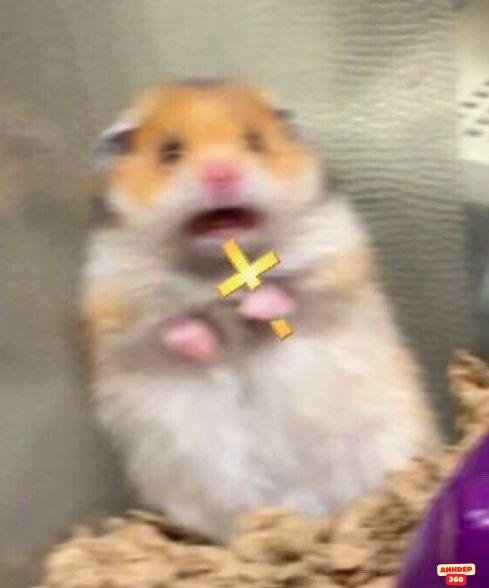 ảnh meme dễ thương cầm thánh giá