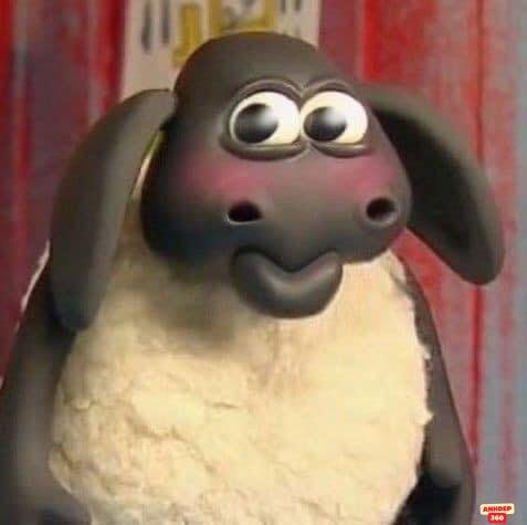 ảnh meme dễ thương sheep hài