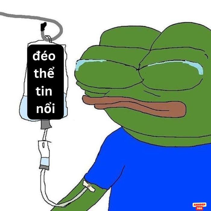 ảnh meme đéo tin ếch