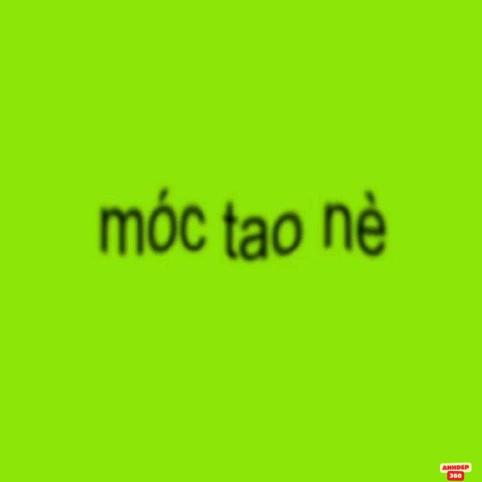 ảnh meme font cực bựa