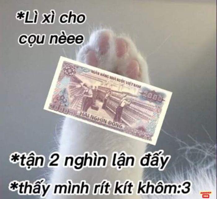 ảnh meme hết tiền siêu bựa