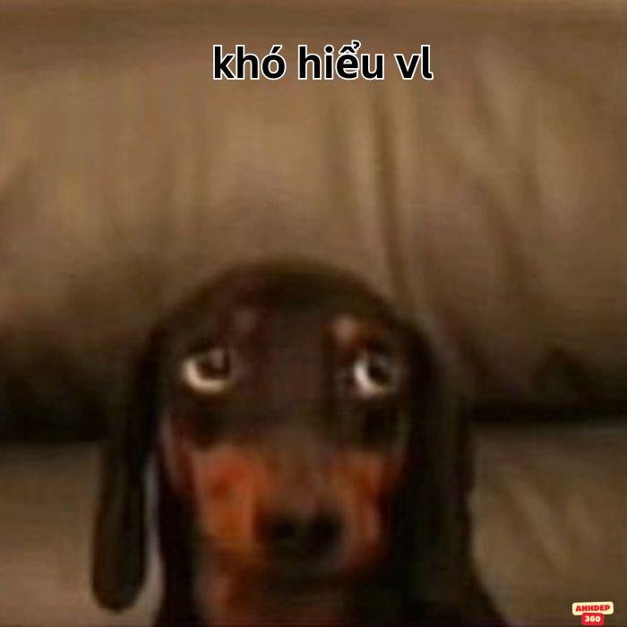 ảnh meme khó hiểu cực bựa