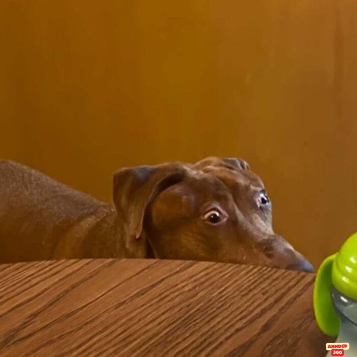 ảnh meme ngạc nhiên chế bựa