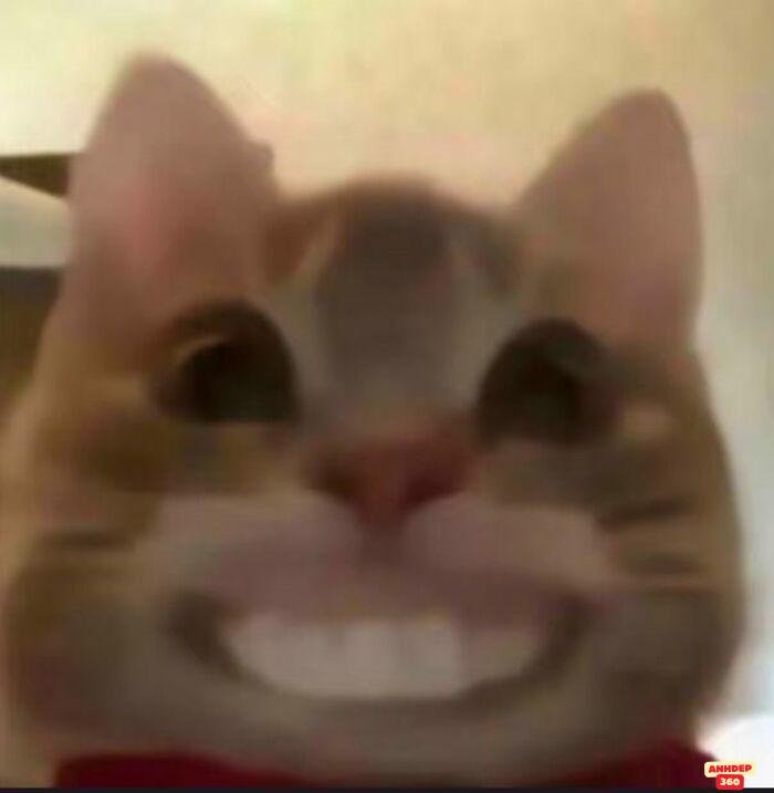 ảnh meme ngạc nhiên chưa