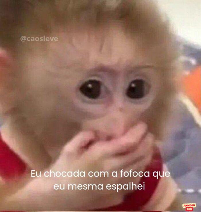 ảnh meme ngạc nhiên hài nhất