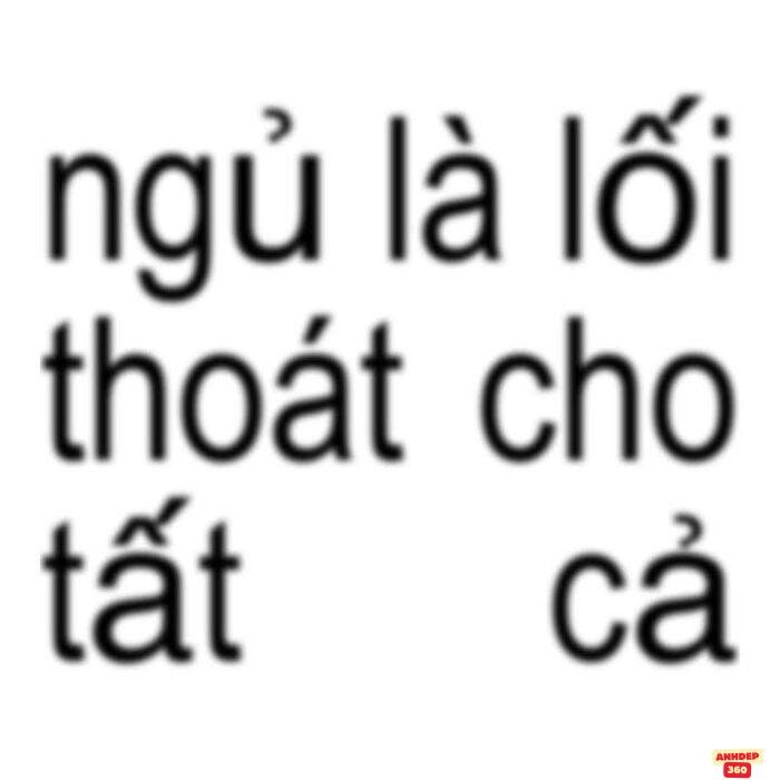 ảnh meme ngủ chế