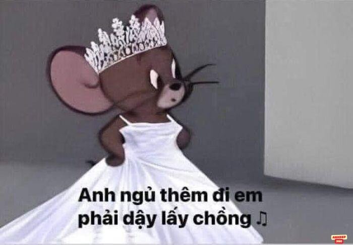 ảnh meme ngủ cute