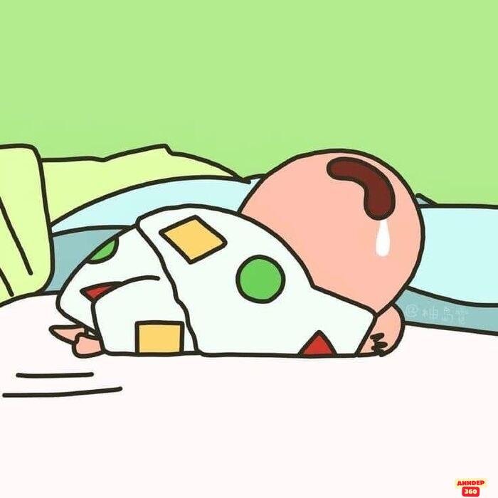 ảnh meme ngủ shin