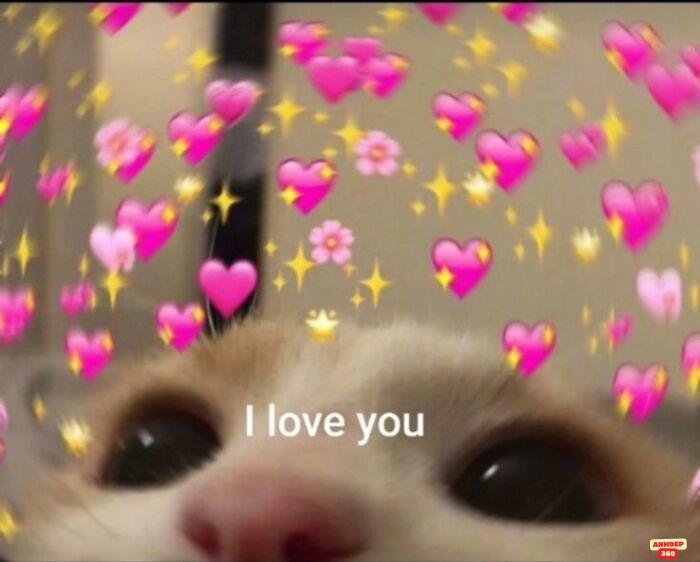 ảnh meme tình yêu cực dễ thương