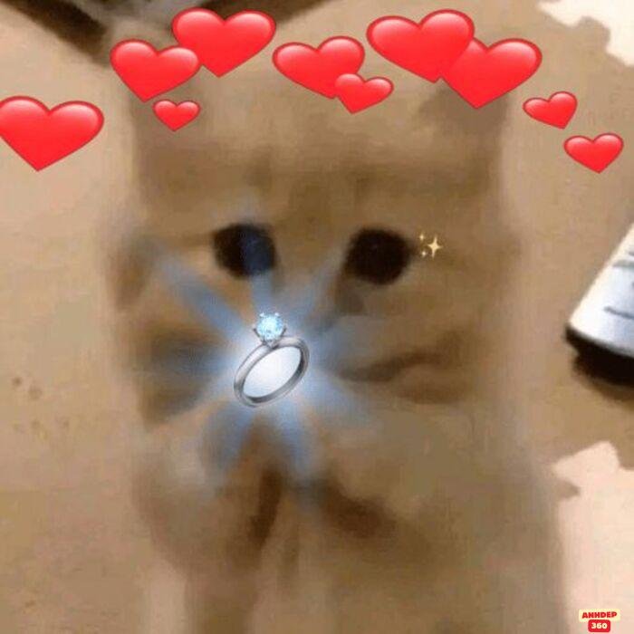 ảnh meme tình yêu hài yêu