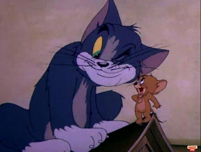 ảnh meme tom and jerry bựa nhất