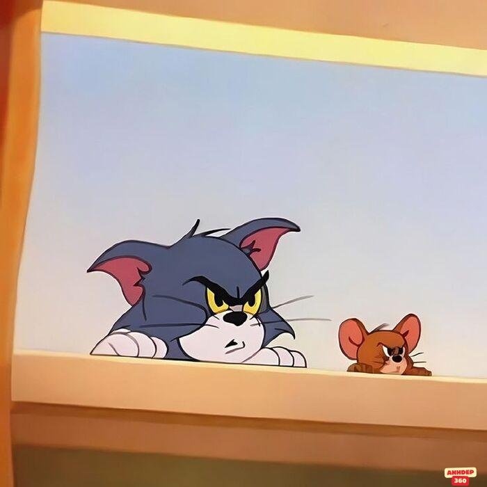ảnh meme tom and jerry chất