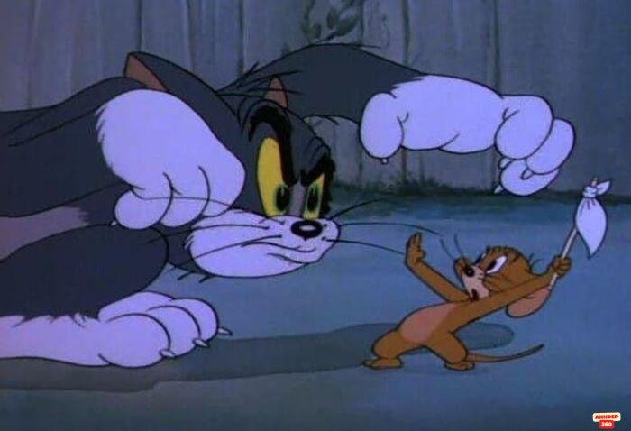 ảnh meme tom and jerry cực bựa