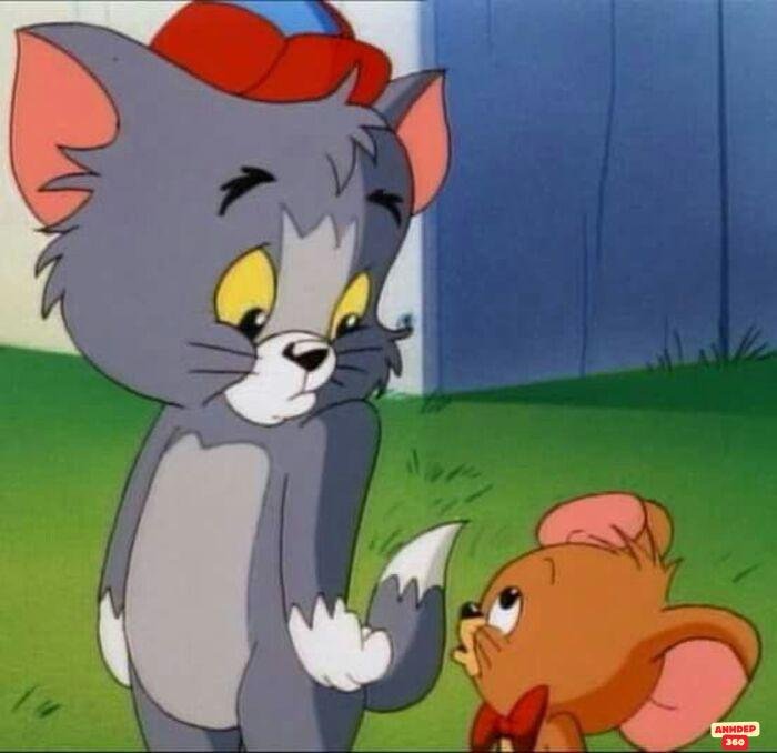 ảnh meme tom and jerry cute